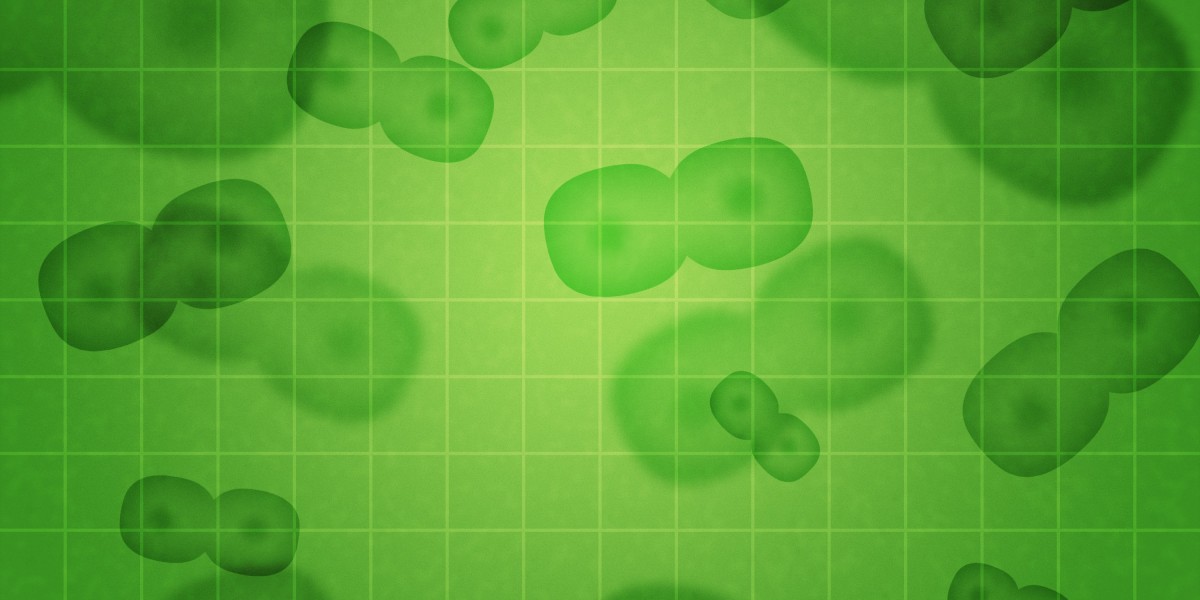 Understanding Gold And Silver IRA Companies: A Complete Guide