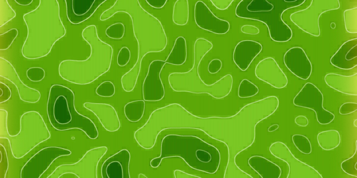 Understanding No Credit Check Loans: Opportunities And Dangers