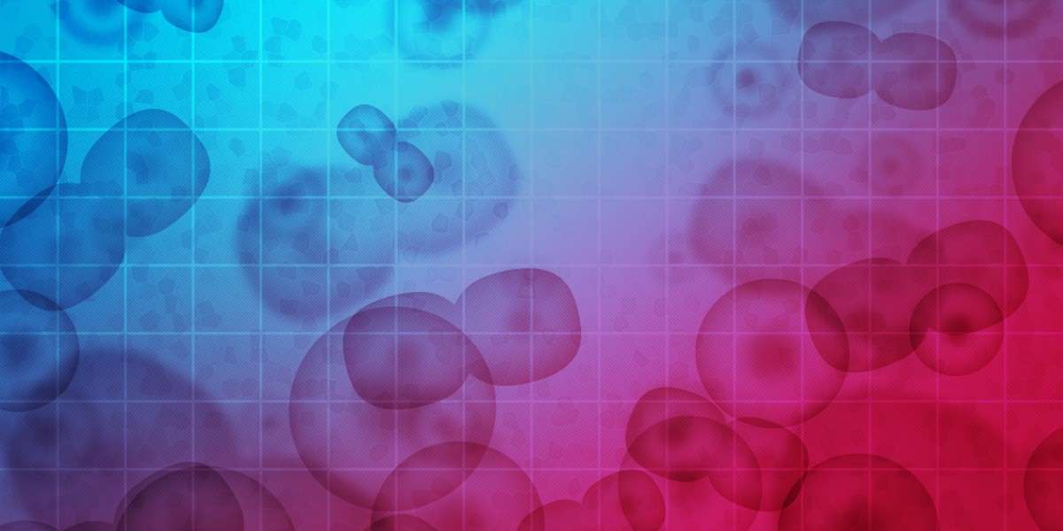 The Rise of Semi-Private Jet Charters: A Brand new Era In Air Travel