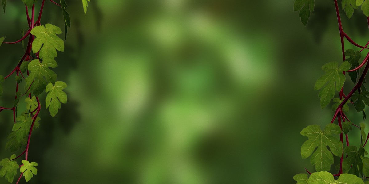 Case Research: XOJets - Redefining Private Aviation