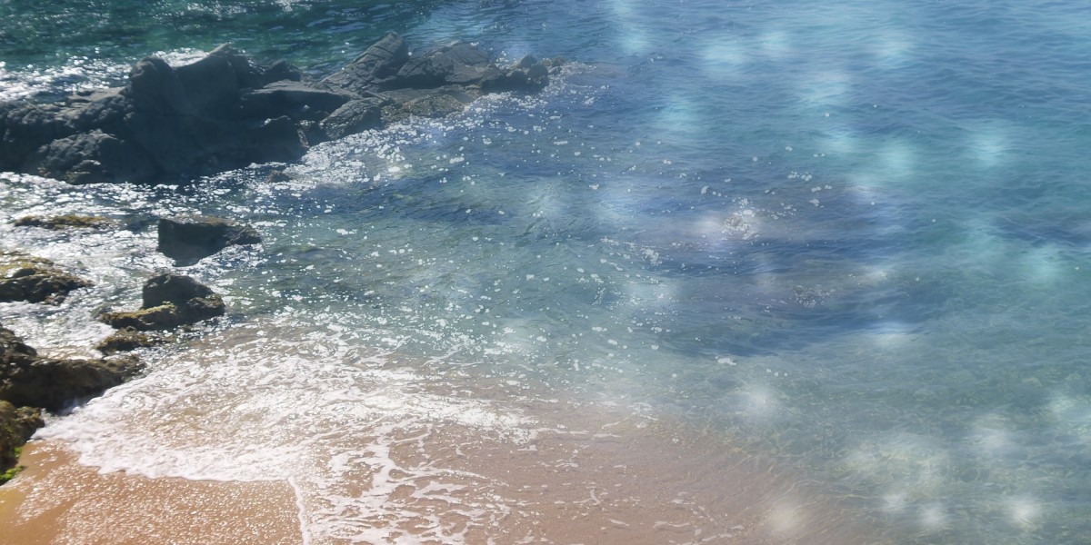 Understanding The $800 Loan No Credit Check: A Case Examine