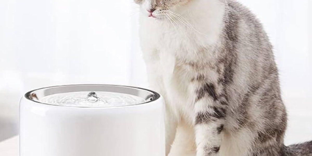 Enhance Daily Care with Pawtechpet Intelligent Pet Water Dispenser