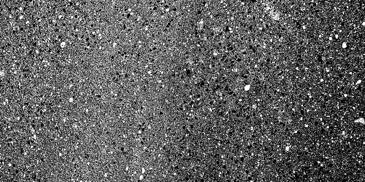 Exploring the Impact of Free Loans With No Credit Check: A Case Study