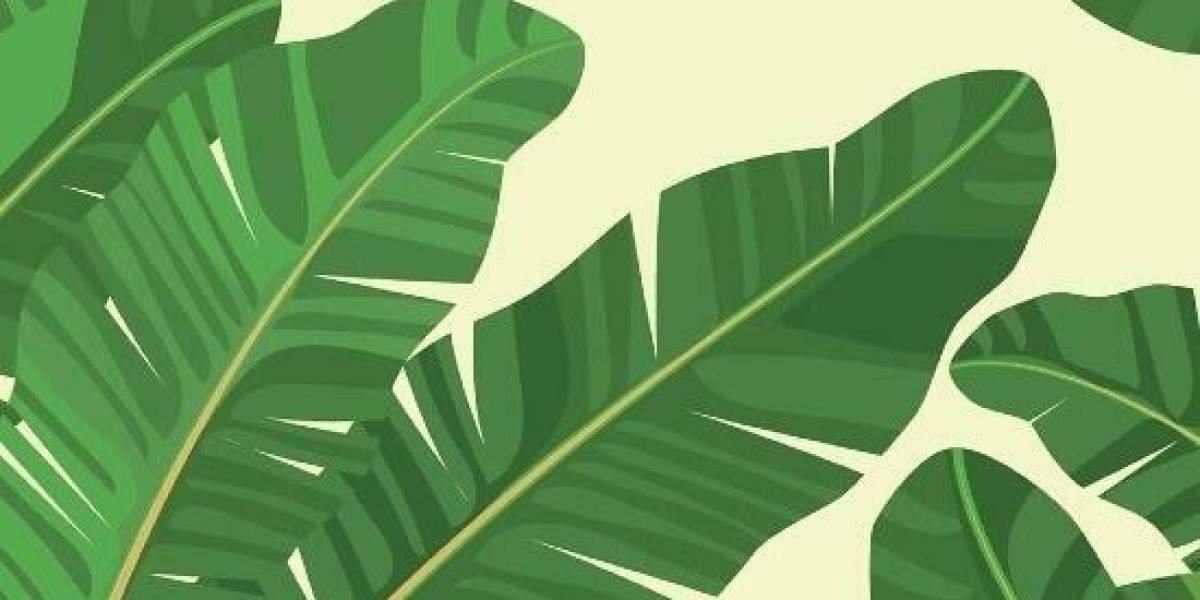 Just how much House can I Afford?