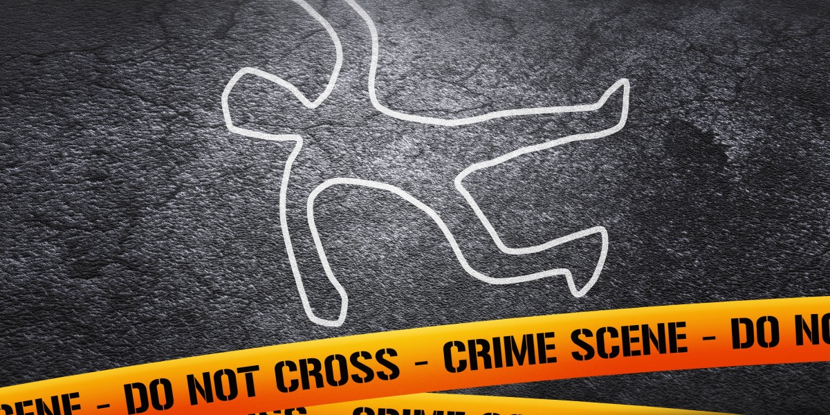 Revolutionizing Access: The Rise of Installment Loans With out Credit Score Checks