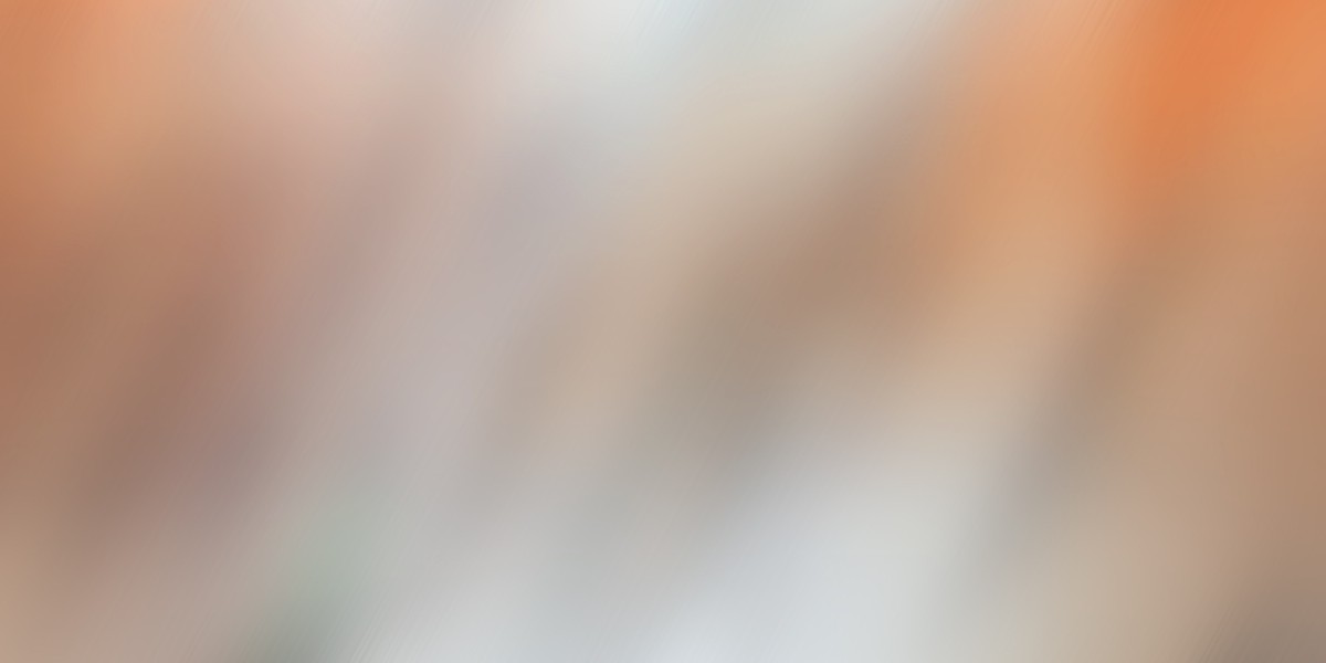 Understanding Bad Credit Personal Loans with A Cosigner: A Case Research