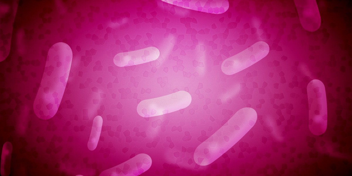 Exploring the net Marketplace for Modafinil: Reviews And Insights