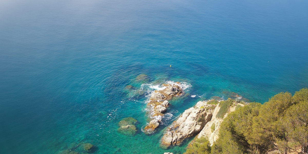 The Best Place to Buy Gold Online: A Comprehensive Case Study