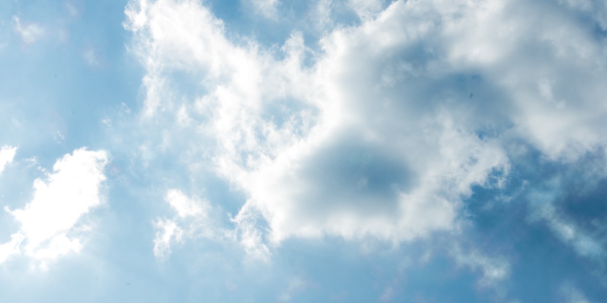 Natural Solutions to Erectile Dysfunction: A Comprehensive Study