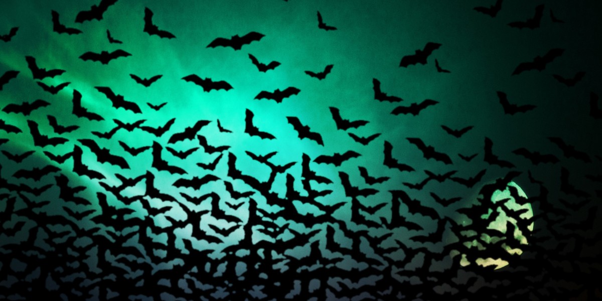 The Cheapest Places to Buy Gold Coins: A Comprehensive Guide