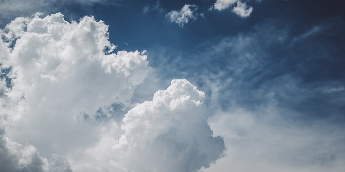 Discover the Ultimate Cat Litter Solution That Will Transform Your Home!