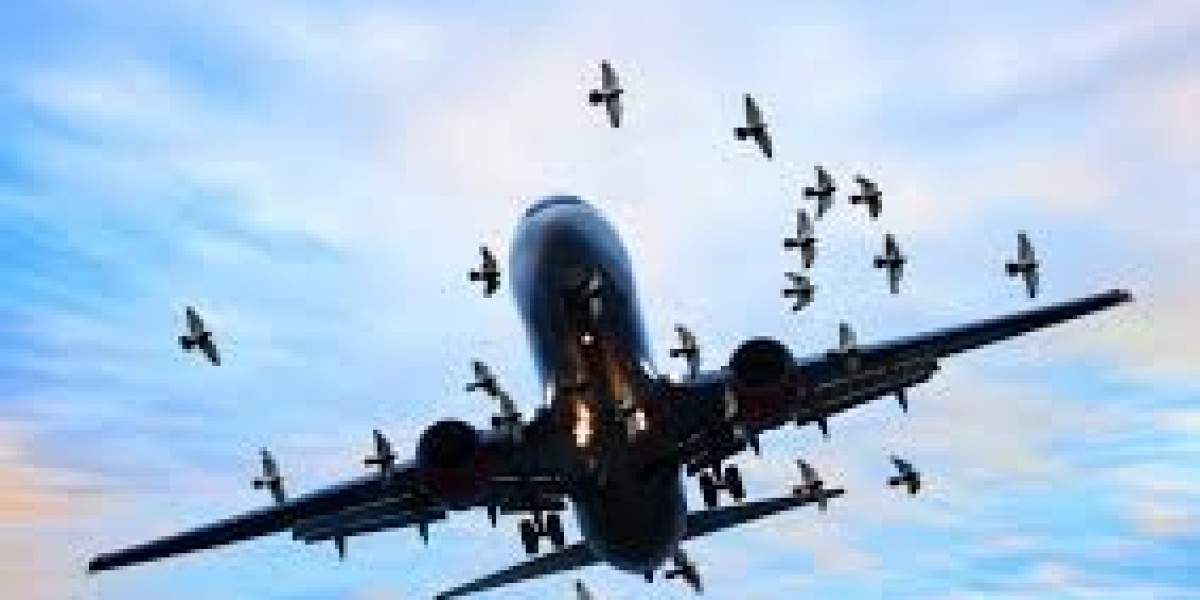 The Economic Impact of Aviation Safety: Evaluating the Bird Detection Systems For Airport Market Size and Financial Viab
