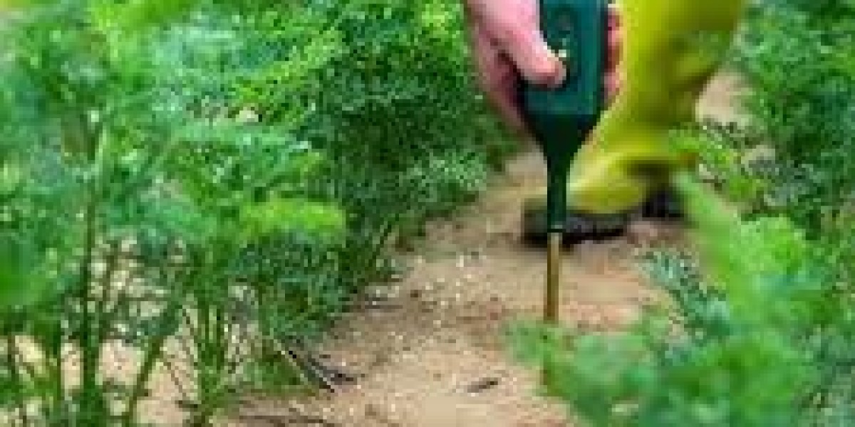 The Scale of Innovation: Measuring the Global Value and Expansion Potential of the High-Tech Agricultural Equipment Sect