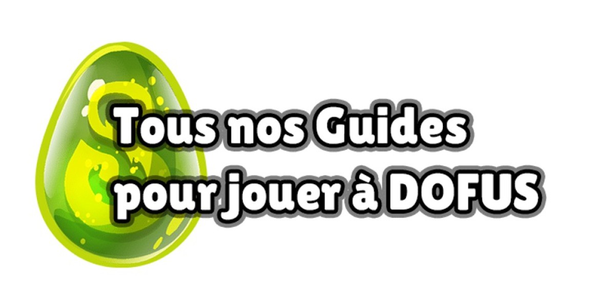 Dofus Unity: الخادم أحادي الحساب أم متعدد الحسابات؟