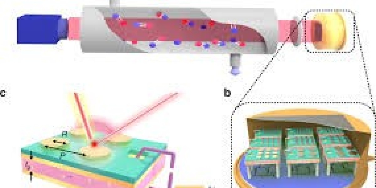 Key Growth Drivers Shaping the Global Non-Dispersive Infrared Market
