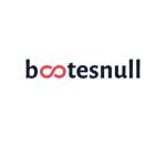 BootesNull Official Profile Picture