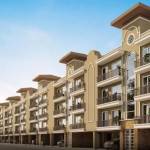 Jubilee Mohali﻿ Profile Picture